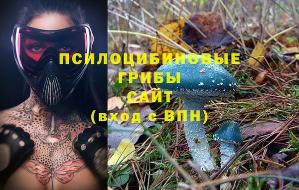 индика Волоколамск