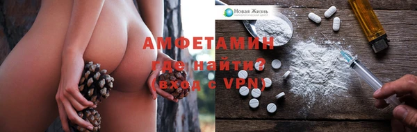 индика Волоколамск