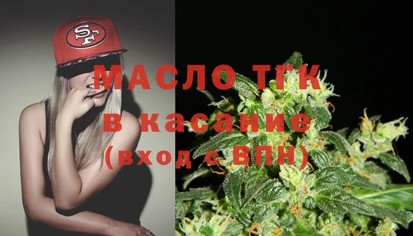 индика Волоколамск