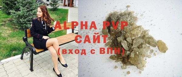 индика Волоколамск
