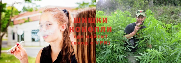 индика Волоколамск