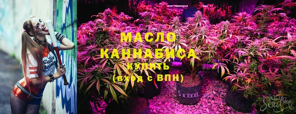 индика Волоколамск