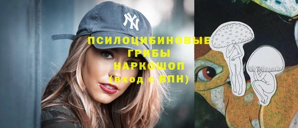 индика Волоколамск