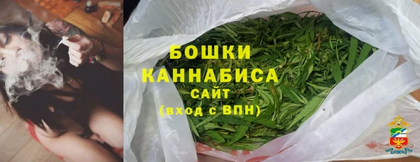 индика Волоколамск