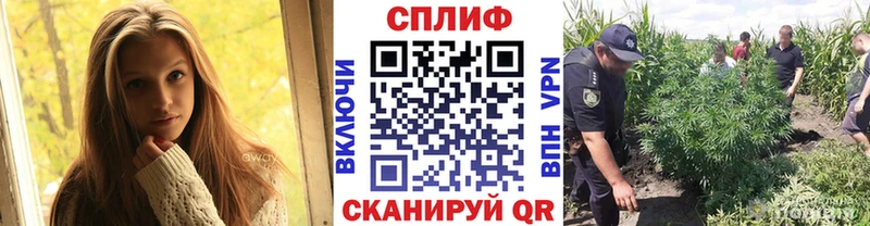 Бошки Шишки VHQ  Купить где  Верхняя Тура 